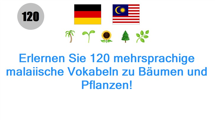 Erlernen Sie 120 mehrsprachige malaiische Vokabeln zu Bäumen und Pflanzen!